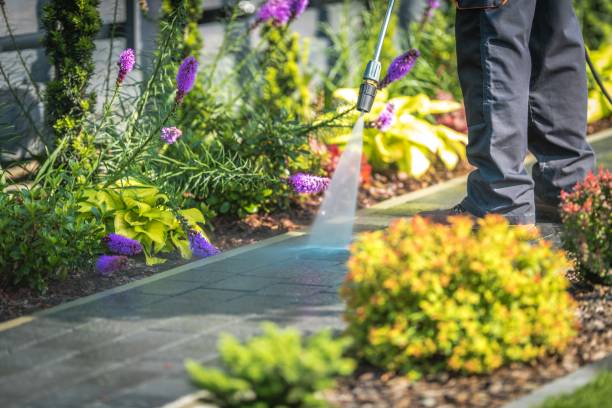 Best Parking Lot and Garage Cleaning  in Adamstown, PA